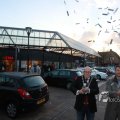 IMG_1085135