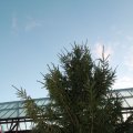IMG_1085153