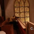 IMG_1086656