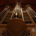 IMG_1086660