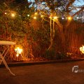 IMG_1086842