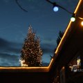 IMG_1086847