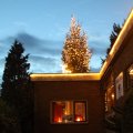 IMG_1086849