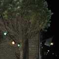 IMG_1087362