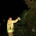 IMG_1092548