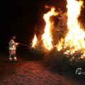 IMG_1092558