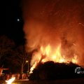 IMG_1092584