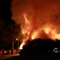 IMG_1092585