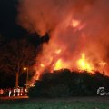 IMG_1092587