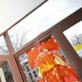 IMG_1095268