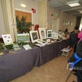 IMG_1105681