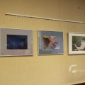 IMG_1105685
