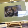 IMG_1105691