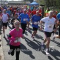 IMG_1109528