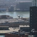IMG_1111482