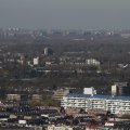 IMG_1111595