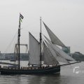 IMG_1113393