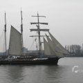IMG_1113401