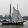 IMG_1113419