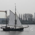 IMG_1113428