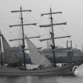 IMG_1113429