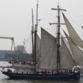IMG_1113439