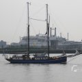 IMG_1113442