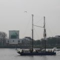 IMG_1113445