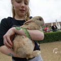 IMG_1113644