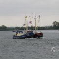 IMG_1114039