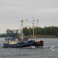 IMG_1114041
