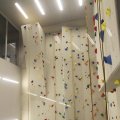 IMG_1115241