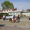 IMG_1115560