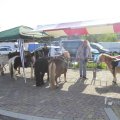IMG_1115562