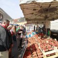 IMG_1115762