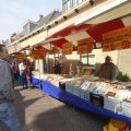 IMG_1115776