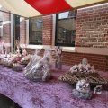 IMG_1115839