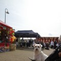 IMG_1115953