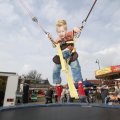 IMG_1116008