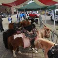 IMG_1116027