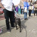IMG_1116186