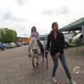IMG_1116321