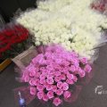 IMG_1121120