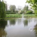 IMG_1130995