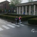 IMG_1131546