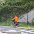 IMG_1132913