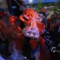 IMG_1132682