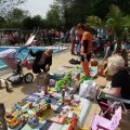 IMG_1134643