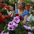 IMG_1134876