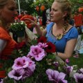 IMG_1134877